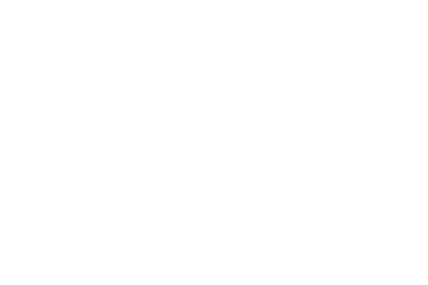 Kultura nova